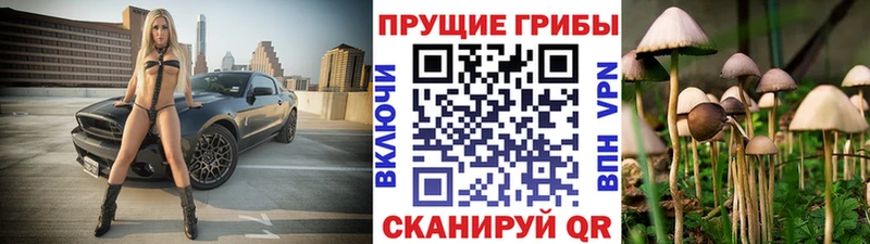 Галлюциногенные грибы мицелий  Купить где  Кохма 